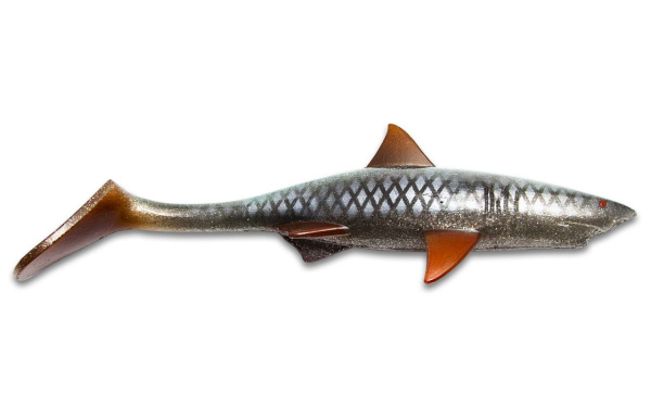 0010358_shark-shad-real-roach-20-cm