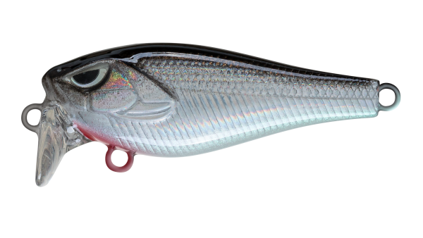 EG-239