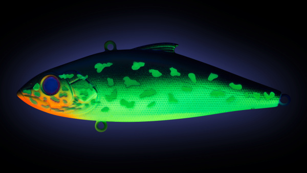 C202F-UV