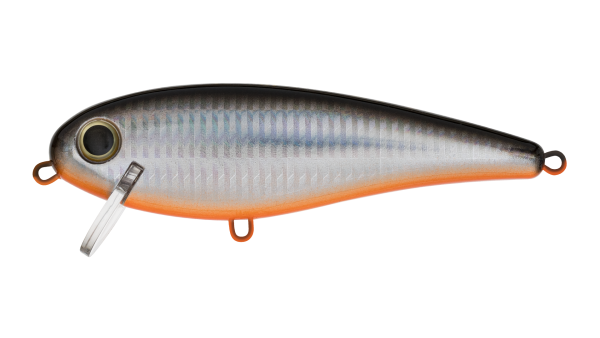 EG-205