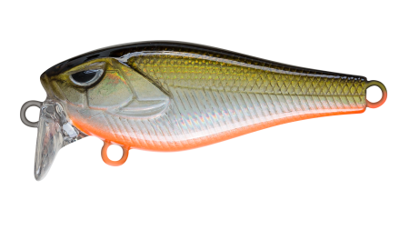 EG-239