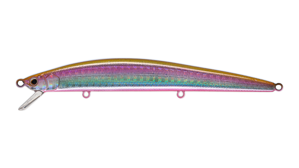 EG-145(F)