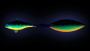 A45E-A45E-UV