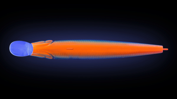 612T-UV