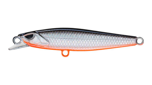 EG-241