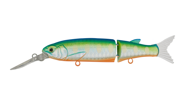 EG-157L(SP)