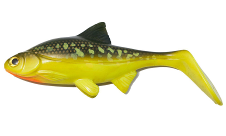 0008161_hooligan-roach-hot-pike