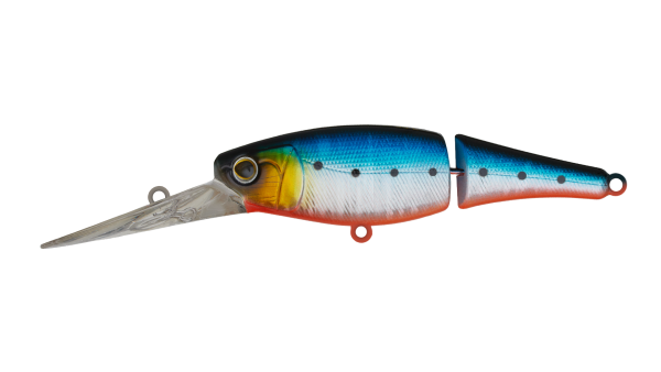 EG-206(F)