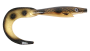 giant_trumman