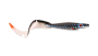 SP-172K-145