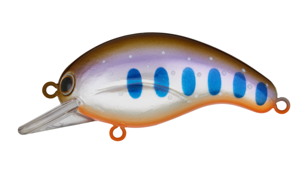 EG-751(F)