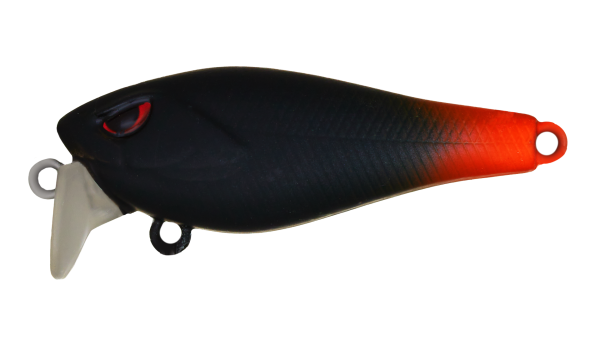 EG-239(F)