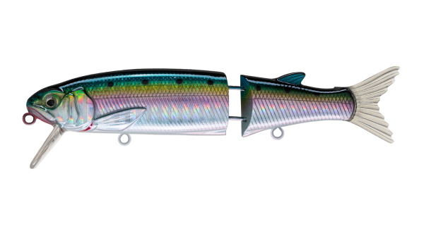 EG-157(SP)