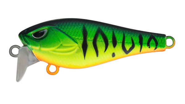 EG-239