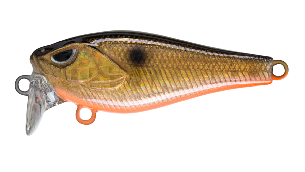 EG-239
