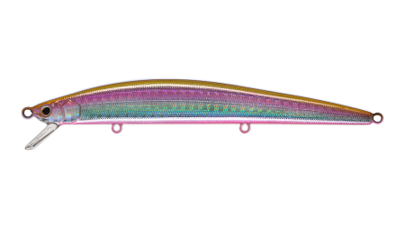 EG-145(F)