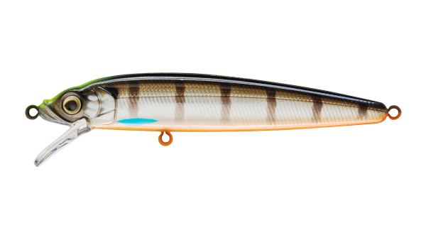 EG-034(F)