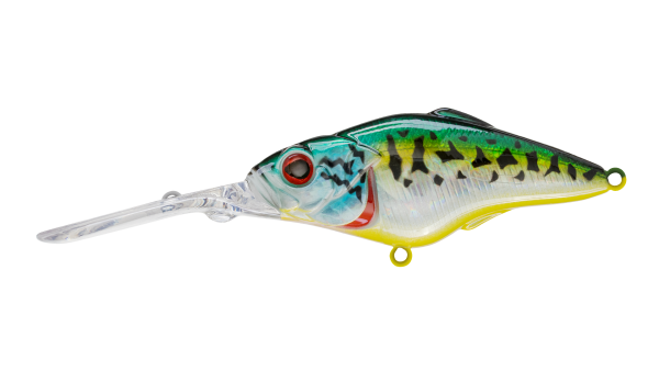 EG-081B(F)