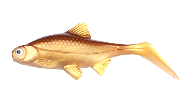 0017407_hooligan-roach-jr-15cm