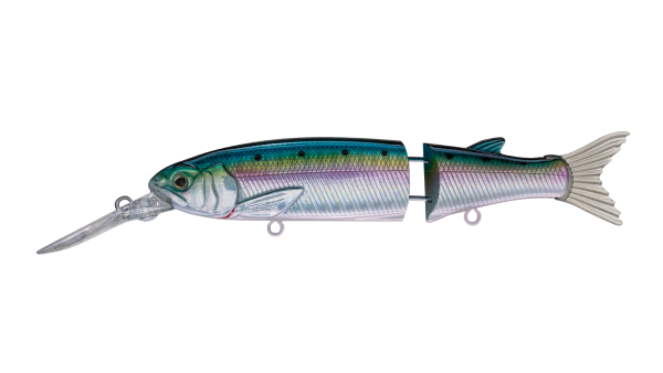 EG-157L(SP)