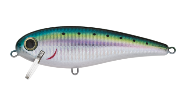 EG-205