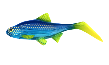 Силиконовая приманка Kanalgratis Hooligan Roach JR 15cm, цвет: Clear Blue Lemonade, (HR-JR15-05)