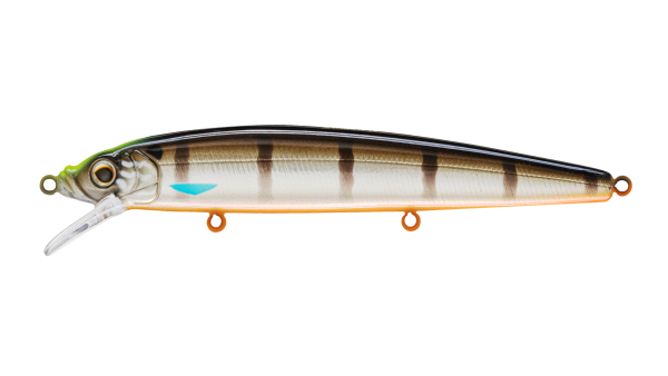 EG-033(F)