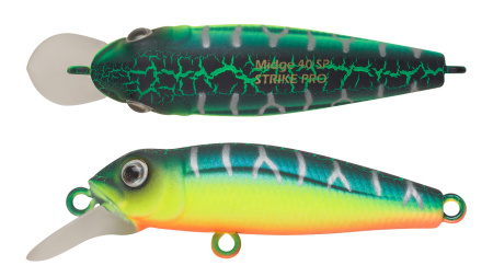 double_A223S-RP