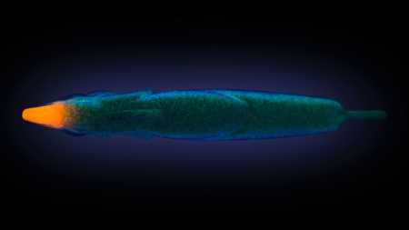 A196F-UV