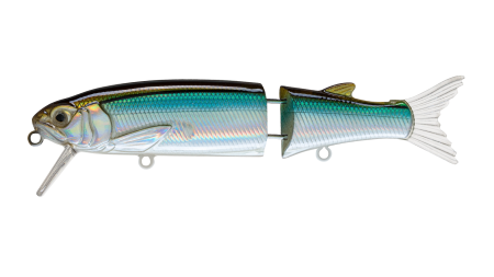 EG-157(SP)