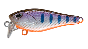 Воблер Крэнк Strike Pro Funky-X Crank (Medium Trank 36F), цвет: A142-264 Arctic Char, (EG-239#A142-2