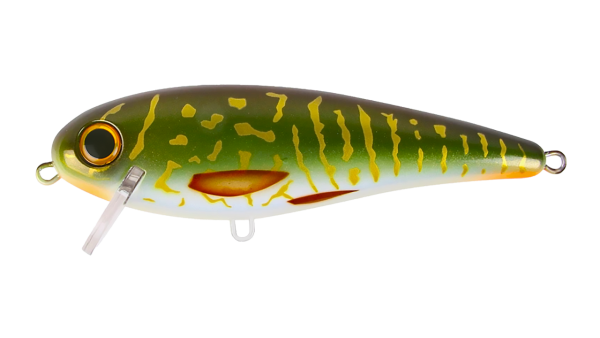 EG-205