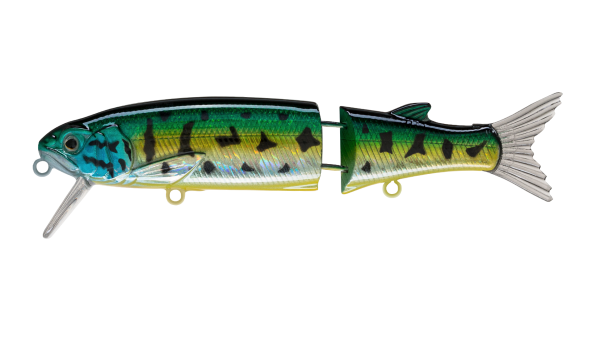EG-157(SP)